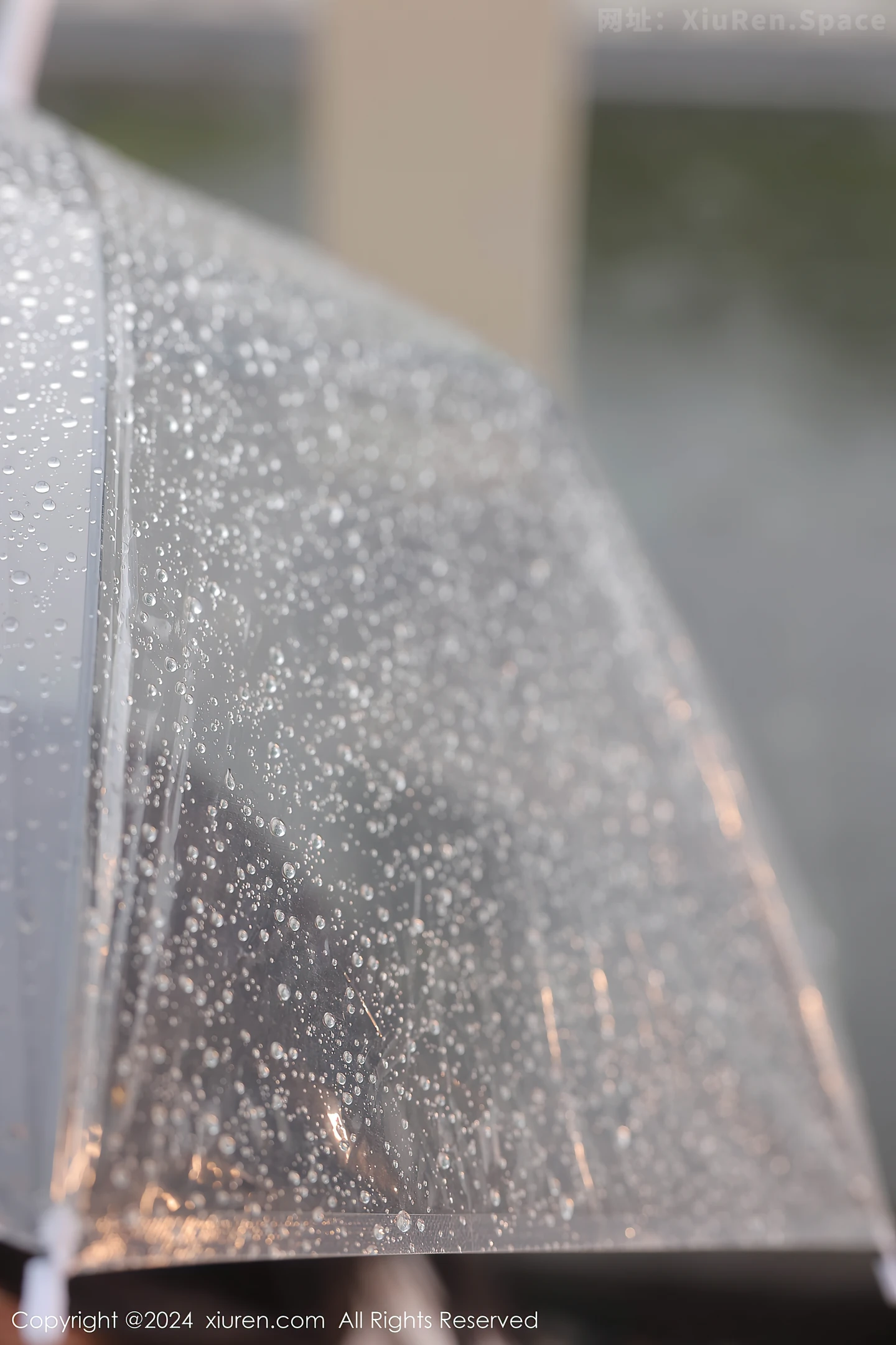 图片[3]-[XiuRen秀人网]VOL.8885 模特桃妖夭性感白色轻透上衣配黑短裙露白色丝袜撩人诱惑写真92P-秀人网官方网站